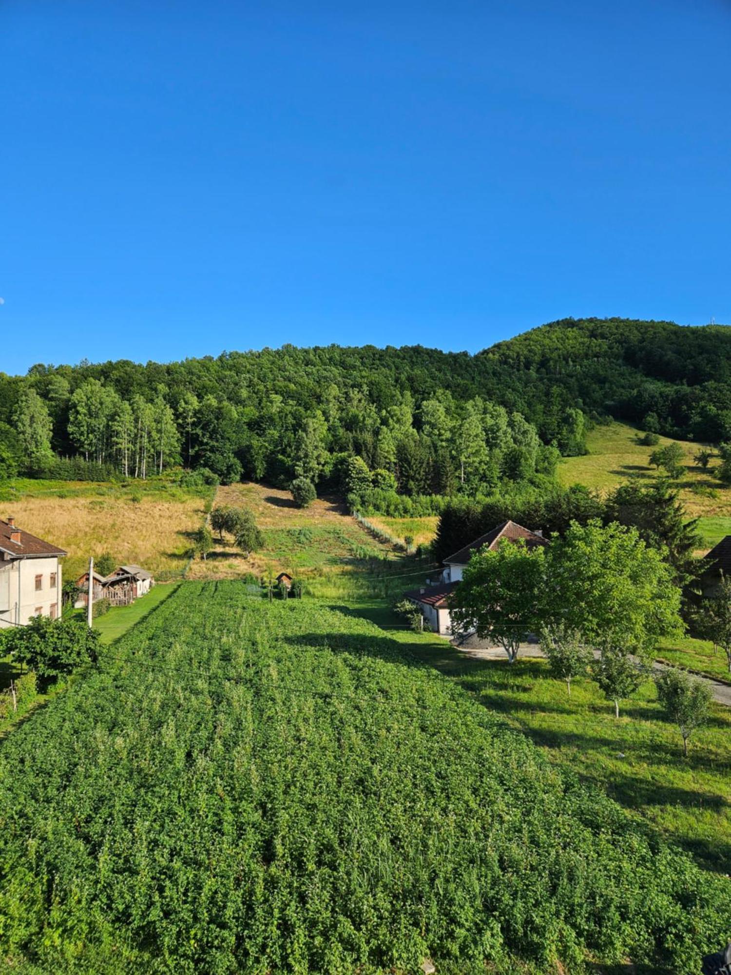 Apartmani Spa Bjelasica Bijelo Polje Exteriör bild